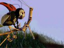 Bugs Life - &nbsp;