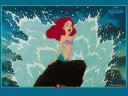 Little Mermaid - &nbsp;